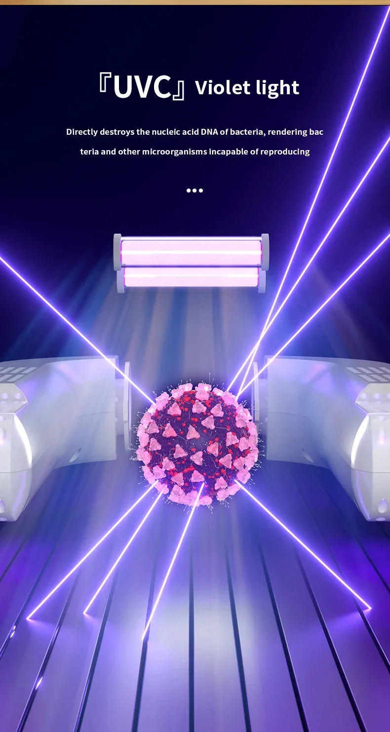 Secador de zapatos eléctrico, calentador de botas, secador de botas UV para pies, elimina el olor, desodorante de botas de secado rápido, secador de calcetines multifunción