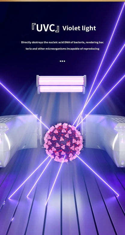 Secador de zapatos eléctrico, calentador de botas, secador de botas UV para pies, elimina el olor, desodorante de botas de secado rápido, secador de calcetines multifunción