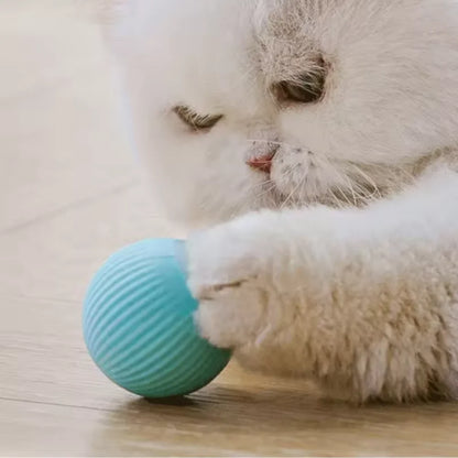 Juguetes eléctricos con pelota para gatos, juguetes inteligentes con rodamiento automático, interactivos para entrenamiento de gatos, juguetes para gatitos móviles para jugar en interiores